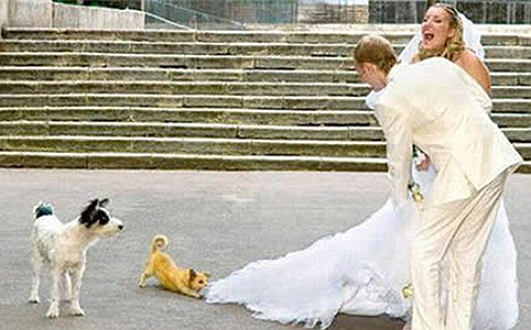 Nyelvöltögetés és villantás - a világ legcikibb esküvői fotói