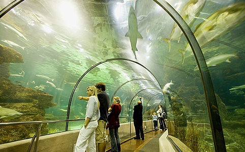 3+1 lélegzetelállító akvárium