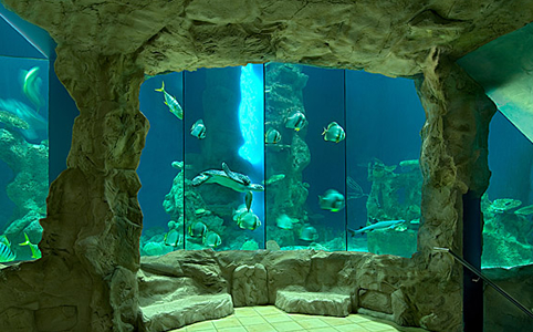 3+1 lélegzetelállító akvárium