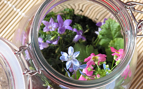 Virágok az üvegbura alatt