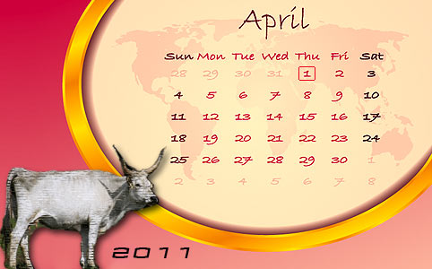 A 2011-es naptárakban már a szürkemarha világnap jelenik meg