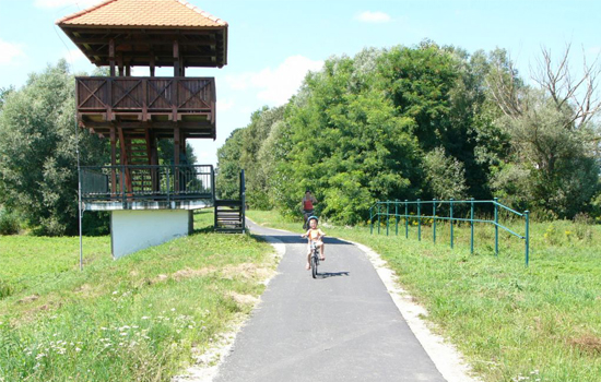 Európa egyik legszebbje a Balaton körüli bicikliút