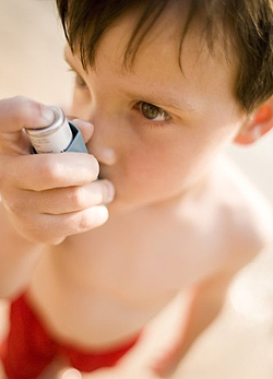 Immunterápiával kezelhető az asztma