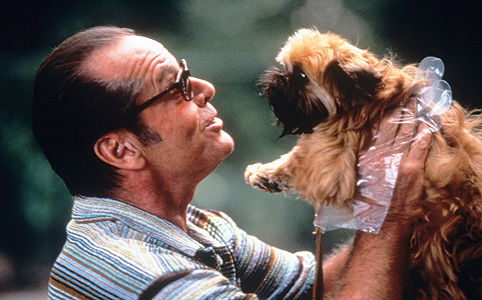 A kutyát is csak kesztyűben merte megfogni Jack Nicholson a Lesz ez még így se című filmben. A mufurc kényszer-beteg szerepéért 1998-ban  Oscar-díjat kapott.