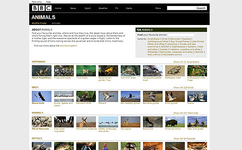 BBC Animals